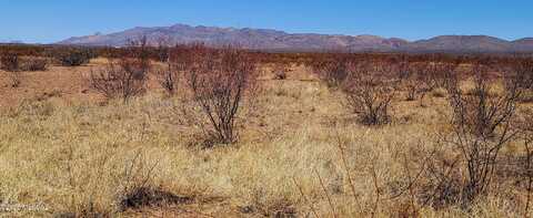 Lot 12/13A E Whitaker Lane, Douglas, AZ 85607