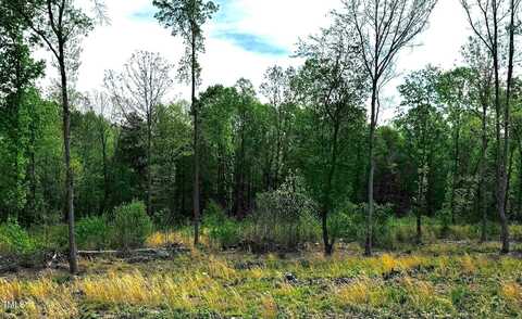 10 Conner Ridge Road, Efland, NC 27243