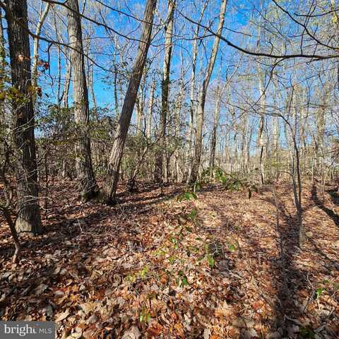 SHAGBARK LANE, ELKTON, MD 21921