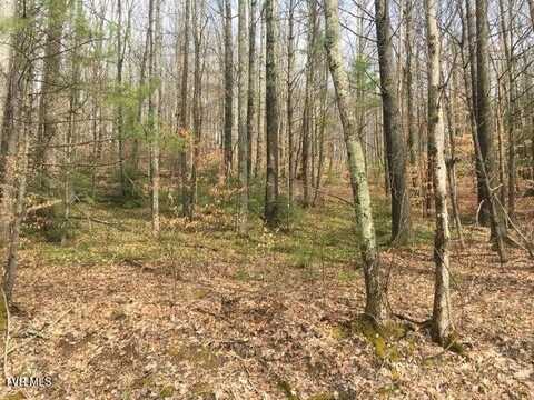 00 Heaton Branch Road, Roan Mountain, TN 37687