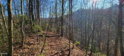 4090 Old Asheville Highway, Flag Pond, TN 37657