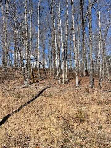 lot 14 Street Place Loop, MONTEREY, TN 38574