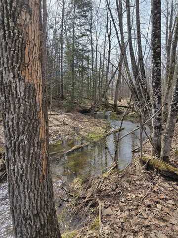 TBD Woodspur, Ontonagon, MI 49953