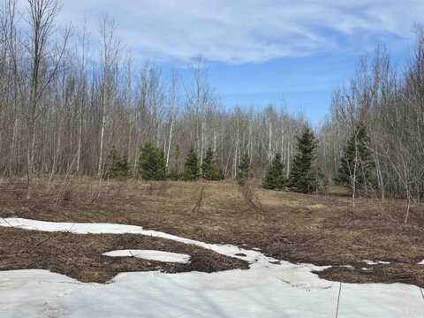 TBD Woodspur, Ontonagon, MI 49953