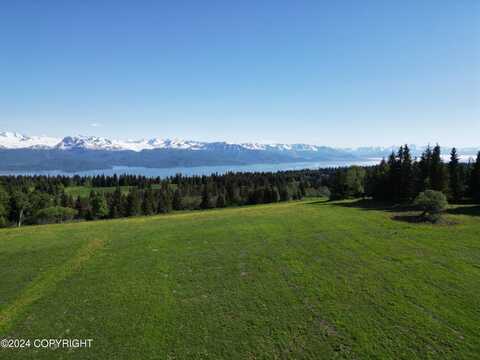 46915 E East End Road, Homer, AK 99603
