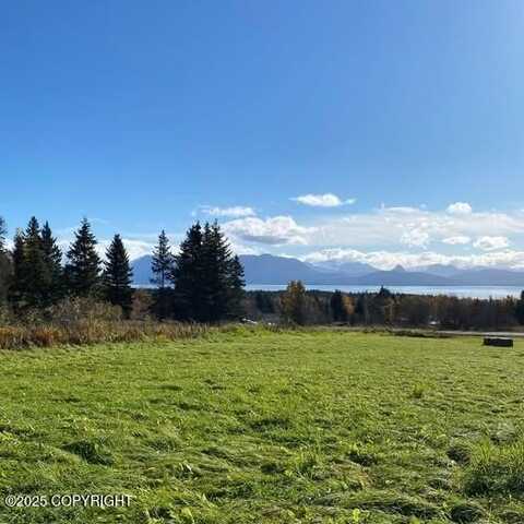 L1 Johnna Circle, Homer, AK 99603