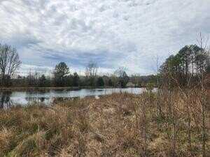 undefined, Clarksville, AR 72830