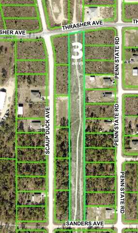 THRASHER POWER LINES AVENUE, BROOKSVILLE, FL 34614
