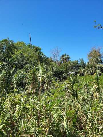 14703 KINGFISH LANE, HUDSON, FL 34667