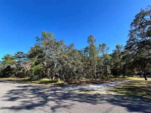 11056 FLATWOOD AVENUE, SPRING HILL, FL 34613