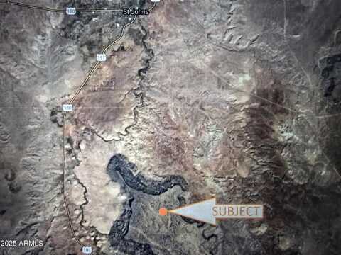 202 County Road N6451 --, Saint Johns, AZ 85936