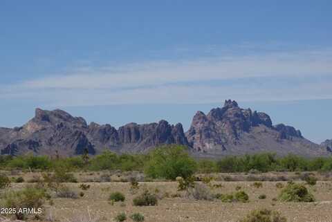 10000 S 540TH Avenue, Tonopah, AZ 85354