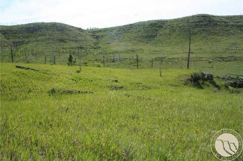 Lot 31 Skunkbelly Lane, Reed Point, MT 59069