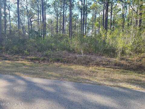 Lot 208 Pepperhill Road, Boiling Spring Lakes, NC 28461