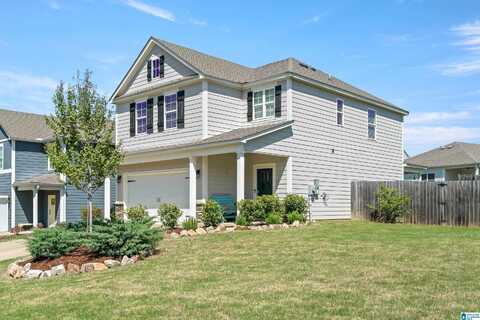 208 PARK VIEW CIRCLE, CHELSEA, AL 35043