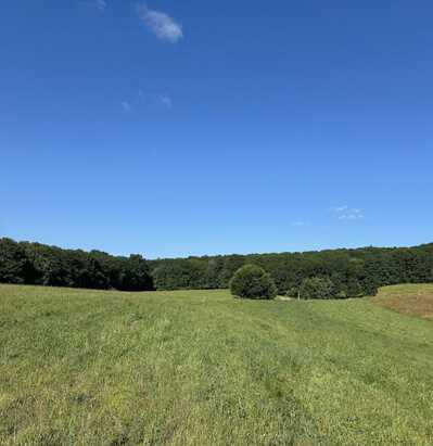 0 Old Dirt Road, Graysville, TN 37338
