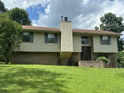 811 Armstrong Ferry Road, Dayton, TN 37321
