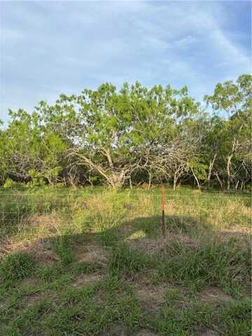 00 S County Road 1010, Kingsville, TX 78363