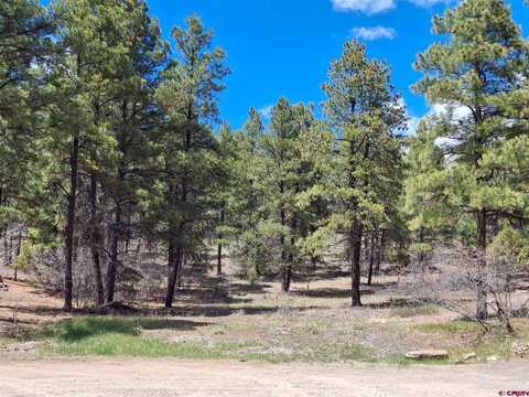 80 Sandstone Court, Pagosa Springs, CO 81147