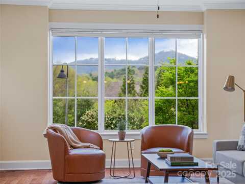 17 Kiftsgate Court, Asheville, NC 28804