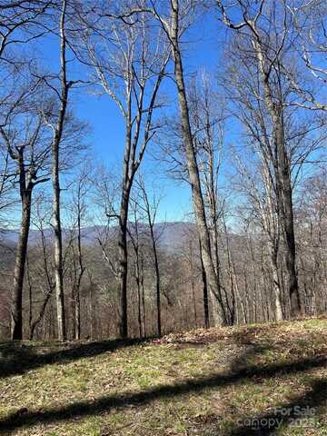 000 Weatherwatch Lane, Waynesville, NC 28786
