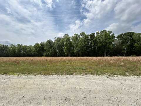 425 Wiggins Estates Lane, Holly Hill, SC 29059