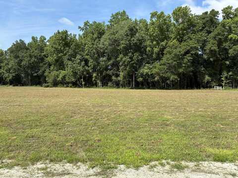 425 Wiggins Estates Lane, Holly Hill, SC 29059