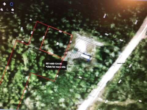 660121124 Lincoln AVE, Bois Blanc, MI 49775