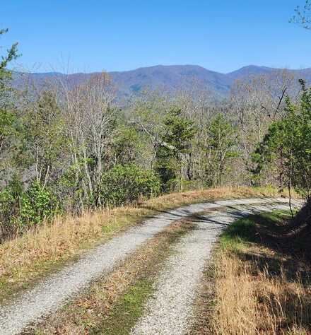Lot 14 Lost Indian Trl, Whittier, NC 28789