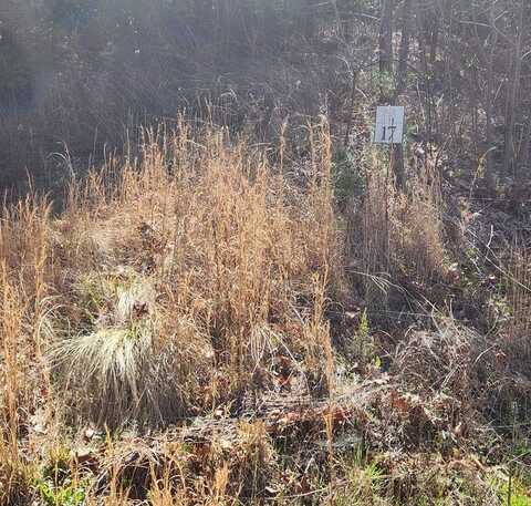 Lot 17 Lost Indian Trail, Whittier, NC 28789