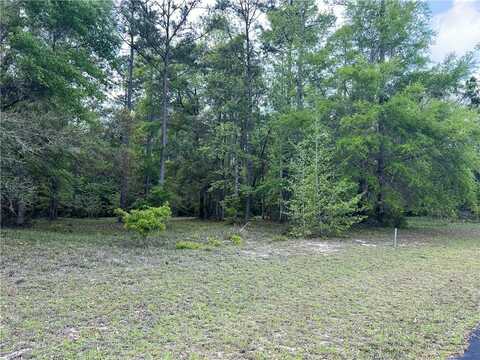 723 Village Green Drive, Townsend, GA 31331
