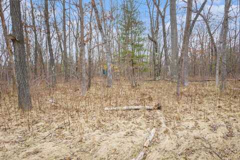 V/L N Woodbridge Road, Bitely, MI 49309