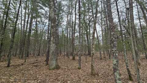 Coates Highway, Brethren, MI 49619