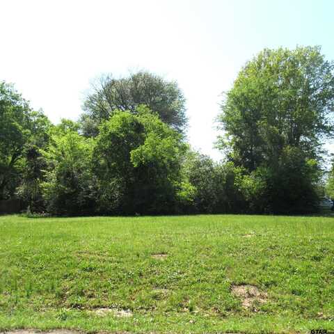 TBD Edwards St, Mineola, TX 75773