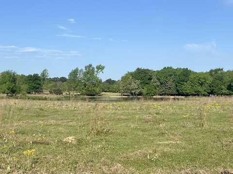 TBD FM 1402, Mount Pleasant, TX 75455