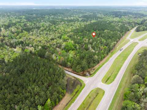 29.5 Acres US Hwy 98, Beaumont, MS 39423