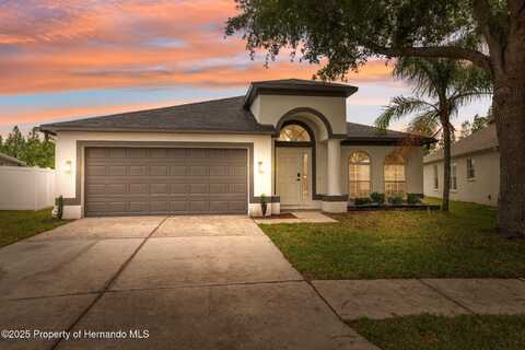 18456 Merseyside Loop, Keystone, FL 34638