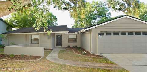 4605 Freshwind Avenue, Tampa, FL 33624