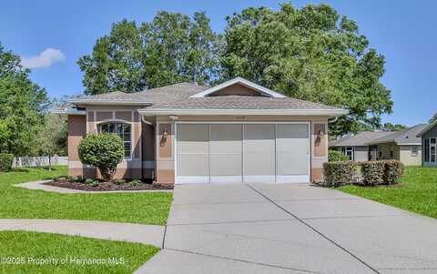 4179 Silver Fox, Spring Hill, FL 34609