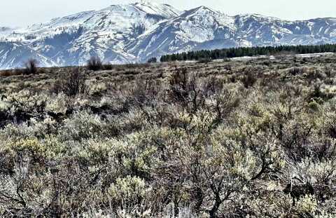 Tbd Long Gulch Rd, Prairie, ID 83647