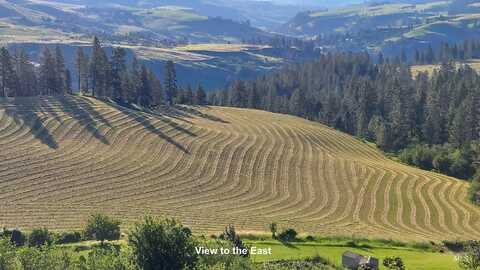 Tbd Arabian Lane Lots 2,4,5, Lenore, ID 83541