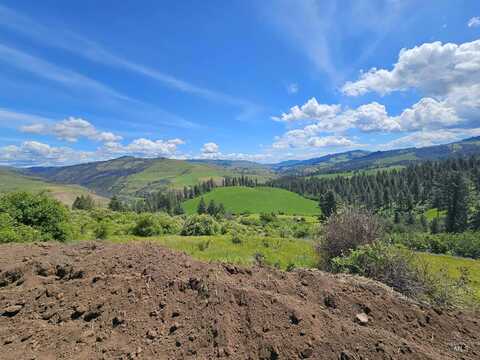 Tbd Arabian Lane Lots 2,4,5, Lenore, ID 83541