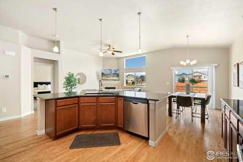 1462 Moraine Valley Dr, Severance, CO 80550