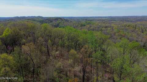 Knob Rd, Vonore, TN 37885