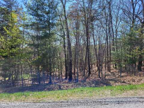 110 Cathedral Drive, Crossville, TN 38558