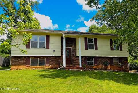 11043 Concord Woods Drive, Knoxville, TN 37934