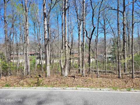 133 Ivy Brook Lane, Crossville, TN 38558
