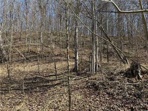 464 Butcher Hollow Road, Ravenswood, WV 26164