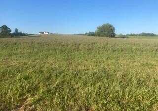 0000 Cedar Road, Stamping Ground, KY 40379