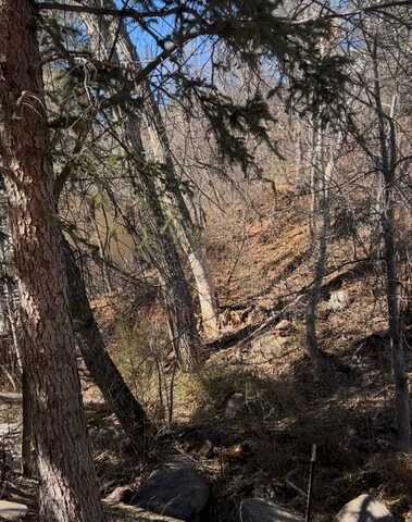 TBD Ruxton Avenue, Manitou Springs, CO 80829
